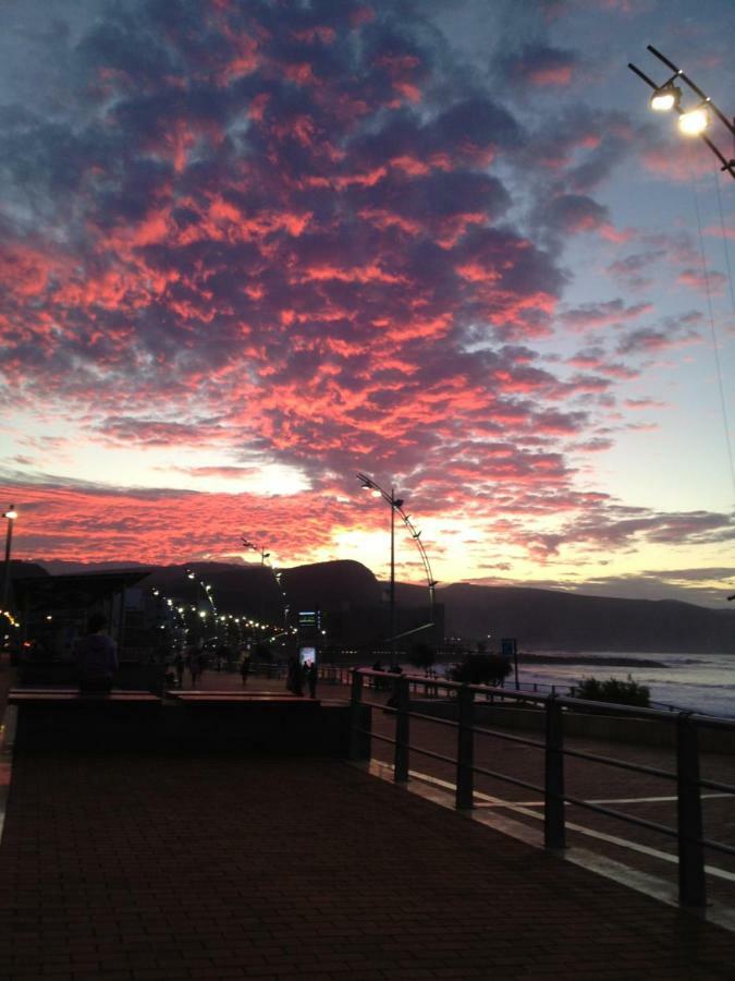 Alisio 51 Playa De Las Canteras Las Palmas de Gran Canaria Exteriör bild