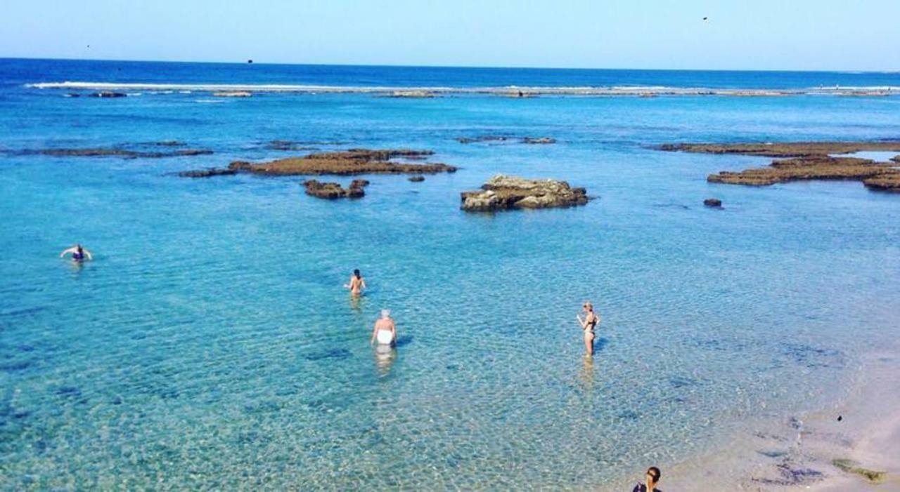 Alisio 51 Playa De Las Canteras Las Palmas de Gran Canaria Exteriör bild